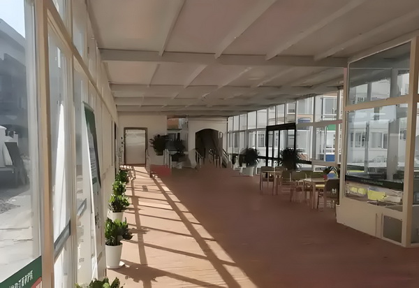 深圳留学落户办理_印度治理河流污染出怪招：养食肉龟应对腐尸问题 流污染出怪同比增长